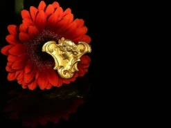 Art Nouveau brooch/pendant diamond