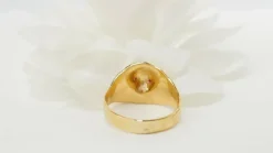 Bague chevalière Lion rubis et diamant