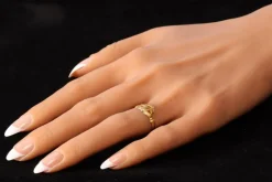 Bague de Claddagh hollandaise 1670