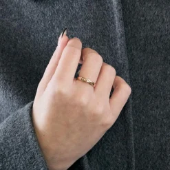 Bague deux ors et Diamant