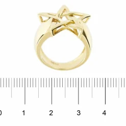 Bague Etoile bombée