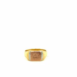 Bague maçonnique en or bicolore