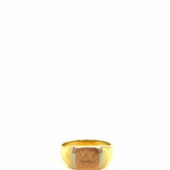 Bague maçonnique en or bicolore
