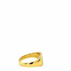 Bague maçonnique en or bicolore