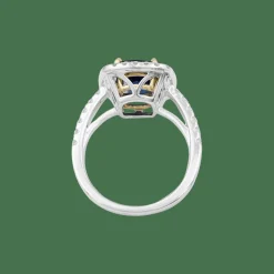 Bague saphir, diamants, deux ors.