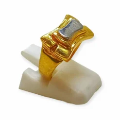 Bague Tank deux ors