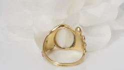 Bague Toi et Moi Oiseaux pierre de Lune et Rubis