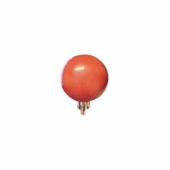 Boucle d'oreille corail