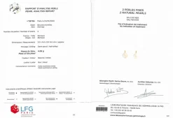 Boucles d'oreilles - Or & Perles fines baroque