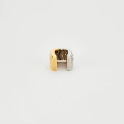 Boucles d'oreilles bicolores Diamants