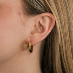 Boucles d'oreilles Coeur