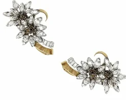 Boucles d'oreilles, 