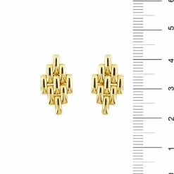 Boucles d'oreilles en maille panthère
