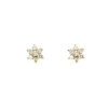 Boucles d'oreilles Fleurs