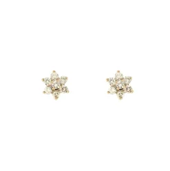 Boucles d'oreilles Fleurs