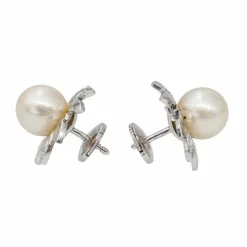 Boucles d'oreilles Or blanc Diamant