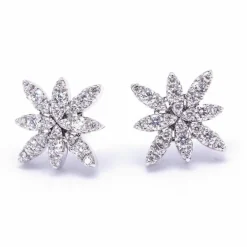 Boucles d'oreilles PASQUALE BRUNI Or blanc Diamants