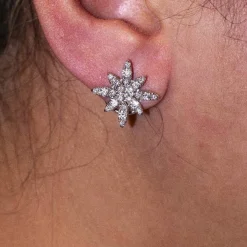 Boucles d'oreilles PASQUALE BRUNI Or blanc Diamants