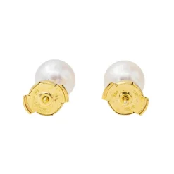 Boucles d'oreilles Puces Or jaune Perle