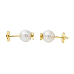 Boucles d'oreilles Puces Or jaune Perle