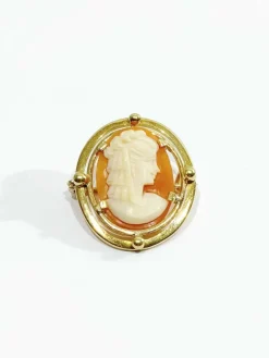 Broche camée coquillage