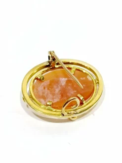 Broche camée coquillage