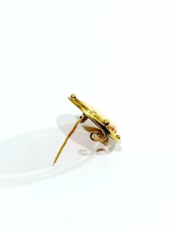 Broche camée coquillage