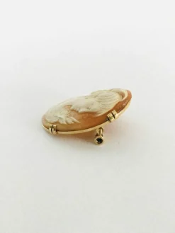 Broche Camée Coquillage Or