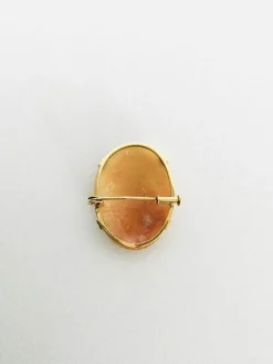 Broche Camée Coquillage Or