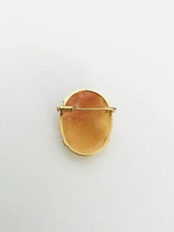 Broche Camée Coquillage Or