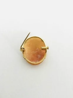 Broche Camée Coquillage Or