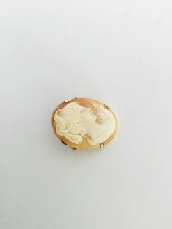 Broche Camée Coquillage Or