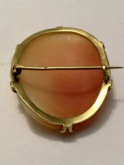 Broche camée en Or jaune