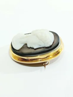 Broche camée or rose et agate