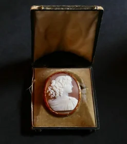 Broche Camée Sur Coquillage, Or Jaune