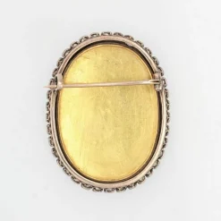 Broche émail habillé et son entourage de diamants
