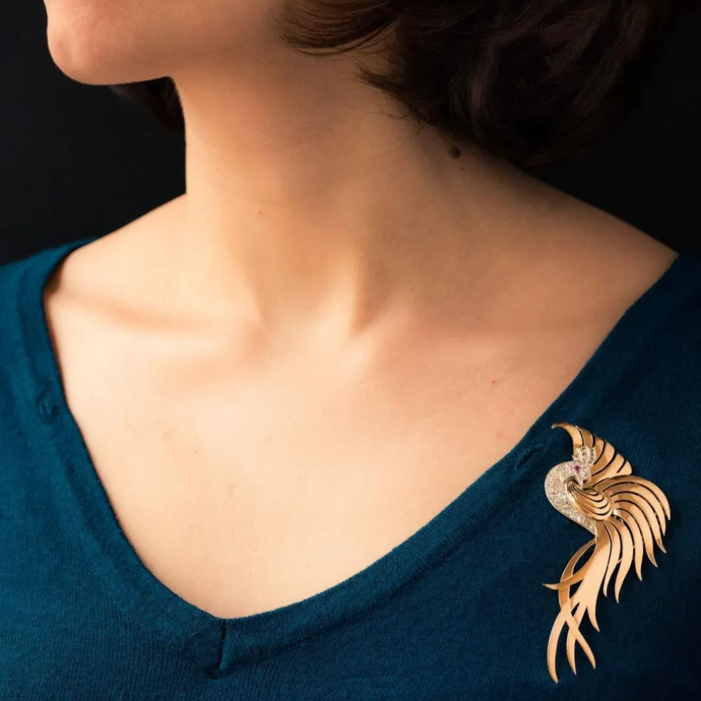 Broche oiseau de paradis diamants