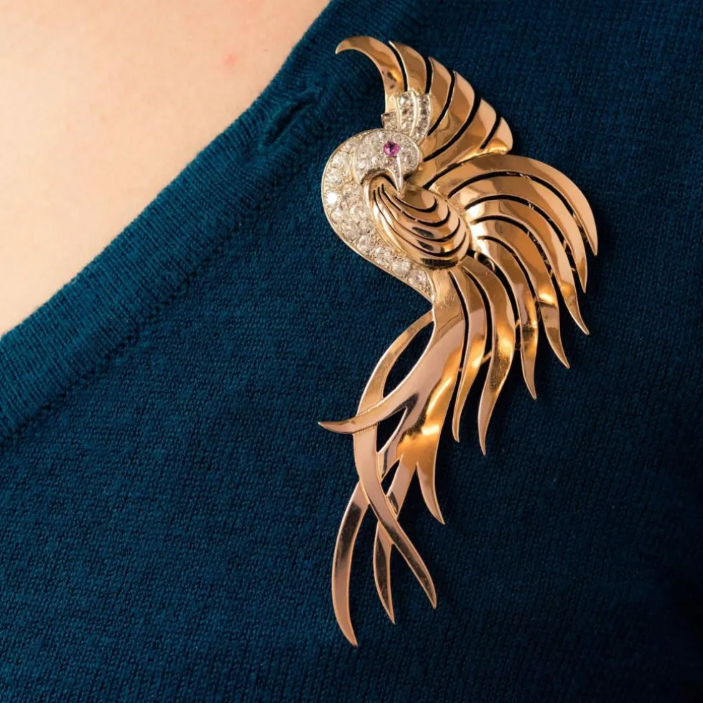 Broche oiseau de paradis diamants