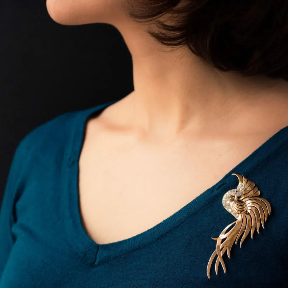 Broche oiseau de paradis diamants