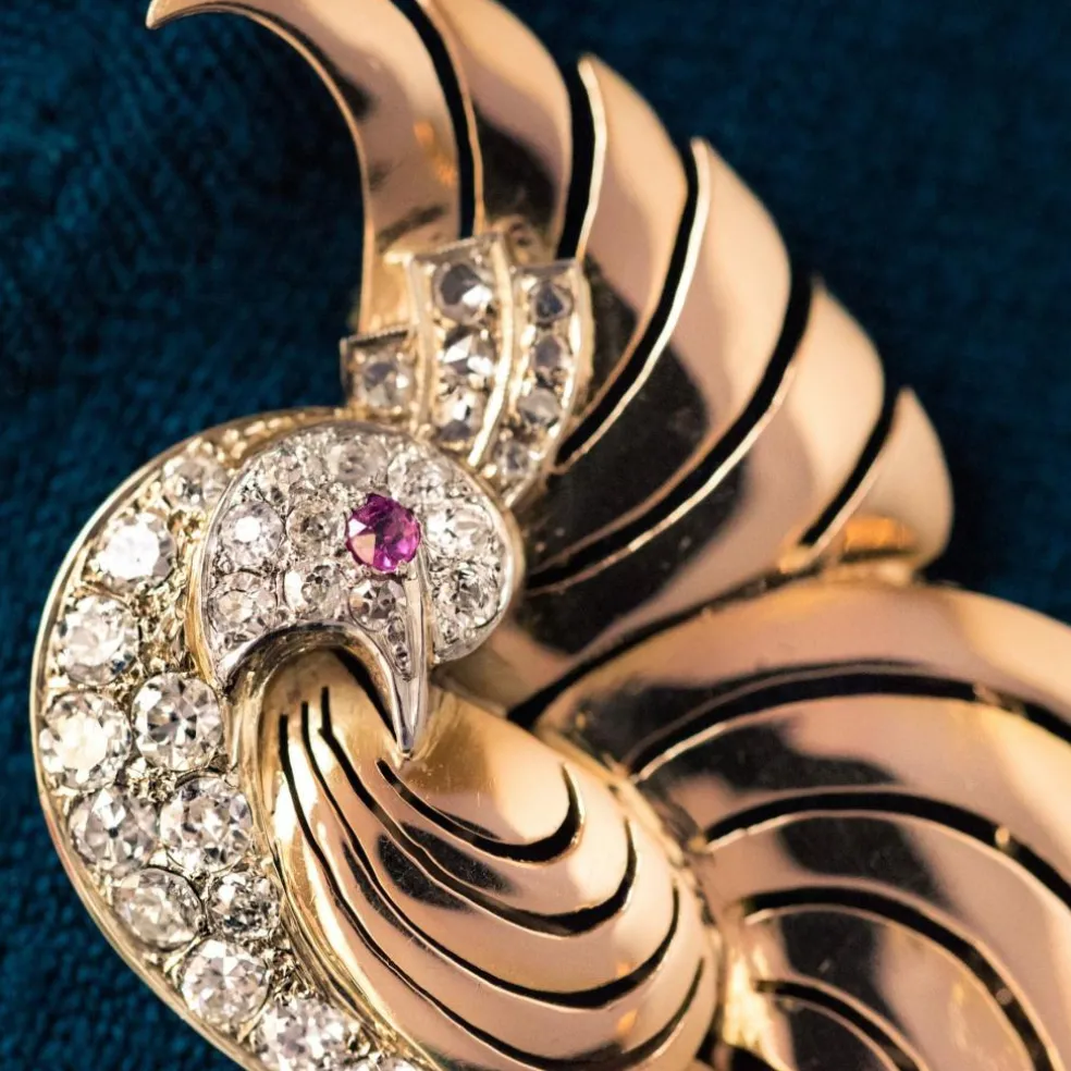 Broche oiseau de paradis diamants