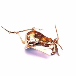 Broche Oiseau Or Jaune, décor émail