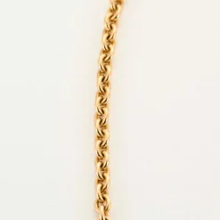 Chaine or jaune maille jaseron