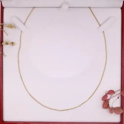 Chaîne maille forçat, or jaune