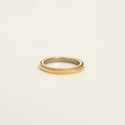 CHARLOTTE CHESNAIS - Ellipse Bold - Bague or jaune et or gris