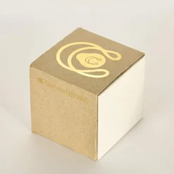 CHARLOTTE CHESNAIS - Ellipse Bold - Bague or jaune et or gris