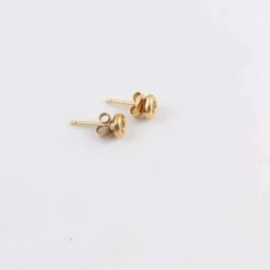 Clous d'oreilles Diamants sertis clos
