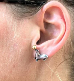 Clous d'oreilles 