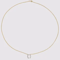 Collier ancien fer à cheval diamants