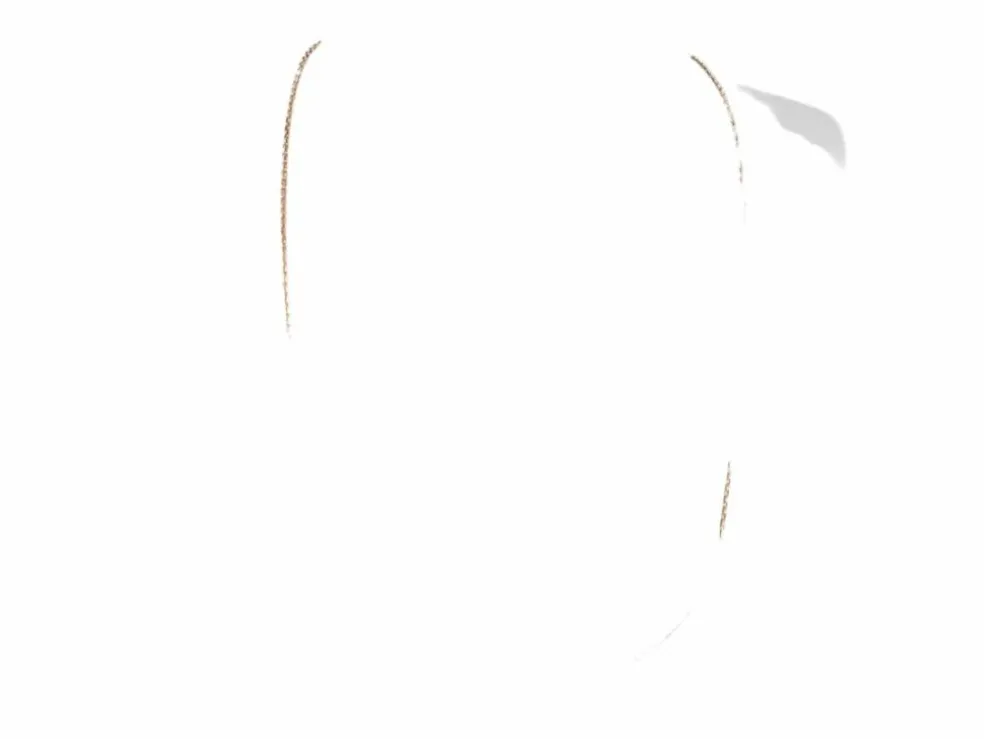 Collier arc en or bicolore