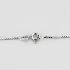 Collier avec Pendentif Fer à Cheval Or Blanc et Diamants